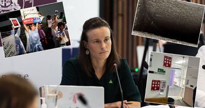 Multiple failures caused mould contamination in cancer wards at the Mater for years