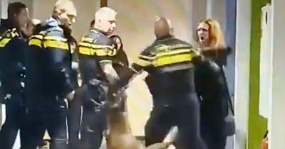 Viral Video Explained: Why Dutch Police Dragged a Pregnant Palestinian Woman Down a Hall