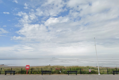Woman dead and man in critical condition after trying to rescue their dog from sea