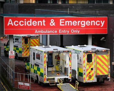Shared NHS patient records could cut 20,000 A&E visits a year, ministers claim