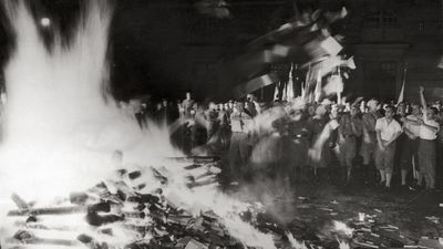 This eerie photograph of the 1933 Nazi book-burning images demonstrates the importance of shutter speed in a terrifying way