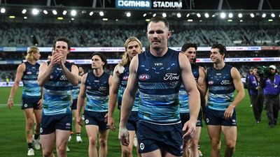 Geelong Cats anti-Pride Month campaign is foreign disinformation