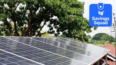 Do solar panels actually help you save money? I crunched the numbers on my own panels during the hottest week of the year so far