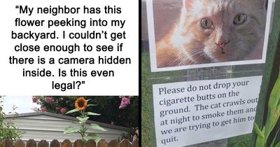 87 Wild Neighbor Stories That May Instantly Make Yours Seem Normal (New Pics)