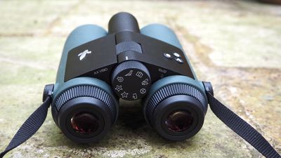 Believe me, your next camera should be binoculars that take photos (and particularly if you are a birdwatcher)