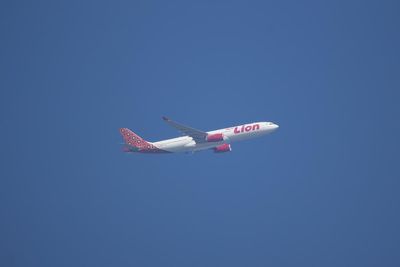 Thai airline cuts key tourist routes citing rising jet fuel costs