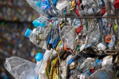 Inhaled microplastics can stay in lungs for weeks and trigger allergies