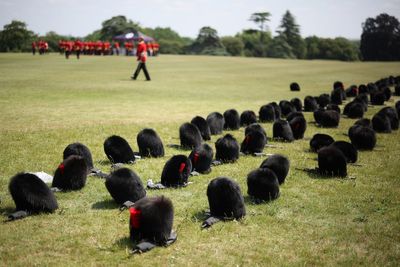 Animal rights anger over rise in Bearskin cap orders for royal guards