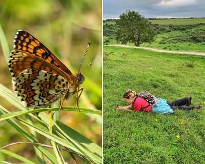 Gaslit, shamed and swindled: the play about Eleanor Glanville, persecuted for her love of butterflies