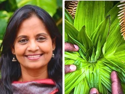 Supriya Sahu IAS is fascinated by this rare Nilgris plant: Even in harsh summer, its unique leaves can trap and store water to survive