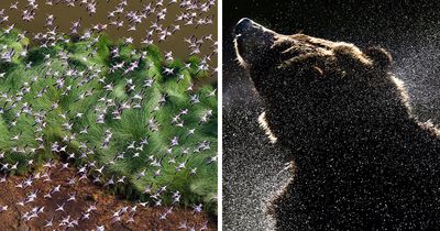 This Photographer Finds Stunning Visual Patterns In The Natural World (20 Images)