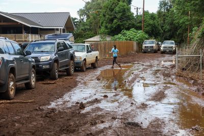 Shock analysis shows five major US home insurance firms only paid 50% of claims