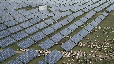China's state subsidies up to eight times more than OECD's, report says