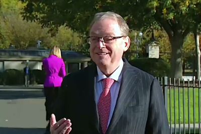 Trump's Top Economic Adviser Tells Americans Spending More on Everything Is a Sign They're 'Hopeful For the Future'