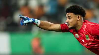 Africa's finest: Bafana Bafana return to the World Cup chasing a first knockout stage