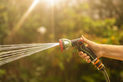 Thames Water asks Londoners to stop using hosepipes as hot weather causes shortages