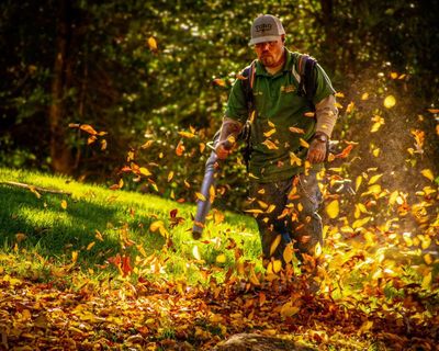 Add leaf blowers to the list of antisocial garden tools