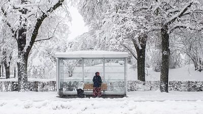 Bus to nowhere? City sends 'Line Zero' onto the streets