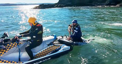 Seafaring dog's island adventure ends in a jet-ski rescue and some sore paws