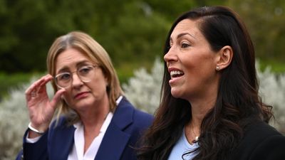 Premier stands by minister after 'dodgy' references