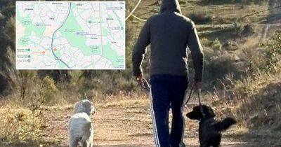 Dog owner accused of assault on walking track