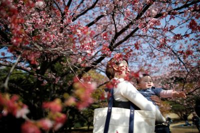 How Japan lost 3 million people in five years
