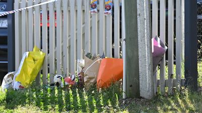 Killer mum's chilling searches before slaying kids