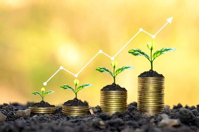 Quant Mutual Fund bets on under-owned, under-researched, undervalued and neglected territory stocks for alpha generation