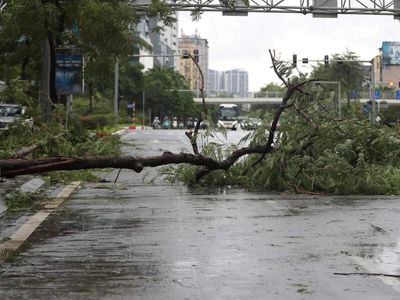 Tropical storm Jangmi hits Southwestern Japan: Injures 9 in Japan, people urged to evacuate, leaves thousands without power
