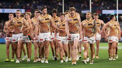 Foreign AFL disinformation operation targets Hawthorn Hawks fans