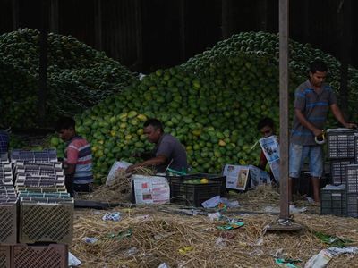 India to unveil broader gauge for inflation in data revamp