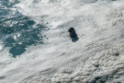 It has the highest levels of toxic Pfas in drinking water in Scotland. But how did this remote island become awash with forever chemicals?
