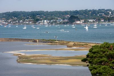 Three arrested in murder inquiry after man vanishes from sailing boat