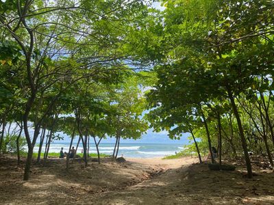 From barren shores to green oases: how a surfer looking for shade ended up transforming Costa Rica’s coastline