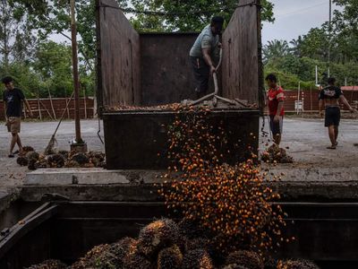 Indian refiners shift to soyoil in May as palm oil loses price advantage