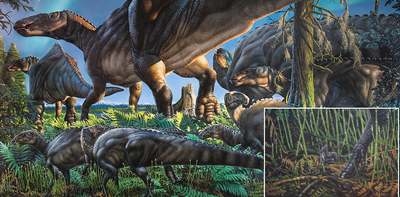 Life in the ancient Arctic: tiny teeth of newly discovered species suggest it was a cradle of mammalian evolution
