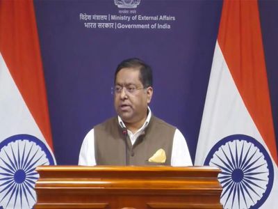 No role for any third parties in resolution of India-Nepal border issue: MEA