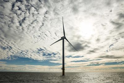 Seven US states sue Trump administration over deal to kill windfarm project