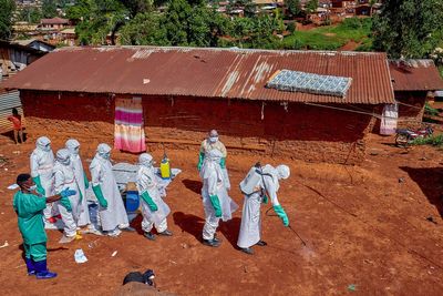 Ebola crisis shows that aid cuts have been ‘counterproductive,’ UK development minister admits