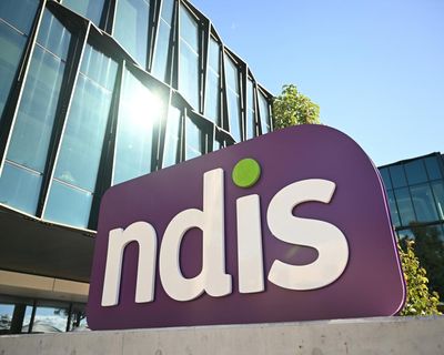 NDIS overhaul will ‘harm’ Australians with disabilities, government’s own committee warns