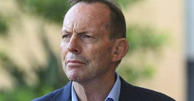 If Tony Abbott's the answer, Liberals may be asking the wrong question