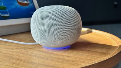 Google's new $99 smart home speaker leaks — here's how it compares to the Apple HomePod Mini and Amazon Echo Dot Max