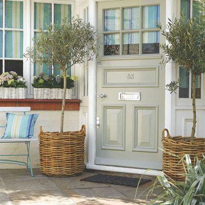 8 drought-tolerant plants for front garden pots that barely need watering – experts say these low-maintenance picks will stay lush without the upkeep