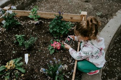 The Dollar Store Gardening Finds That Actually Work