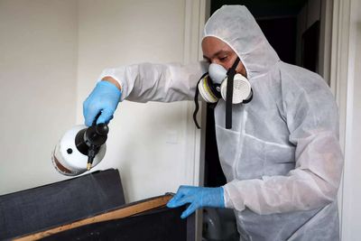 Bed bugs torment Trump administration's USDA office as infestation returns to APHIS building in Maryland