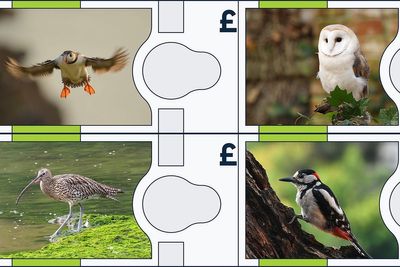 Bank of England reveals which animals could feature on its new-look banknotes