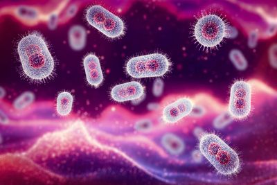 Two men charged with trying to smuggle vials of mpox virus into the US