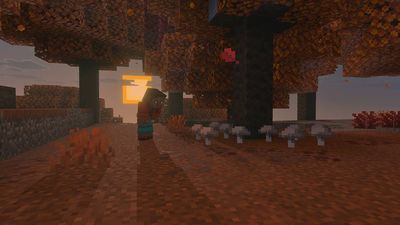 Minecraft dappled forest update: everything you need to know about the next new biome