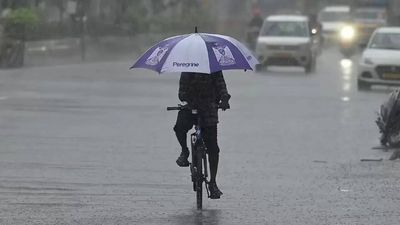 Monsoon in Tamil Nadu: IMD warns of heavy rain in 22 districts; Chennai to face intense heat and humidity