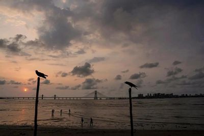 Mumbai, Pune weather this week: IMD issues yellow warning as thunderstorms hit Maharashtra; SpiceJet issues advisory